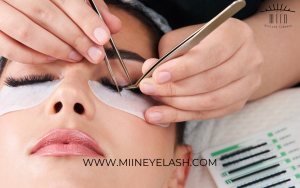 Global Demand for Eyelash Extensions (4)