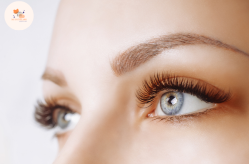 professional eyelash extensions USA